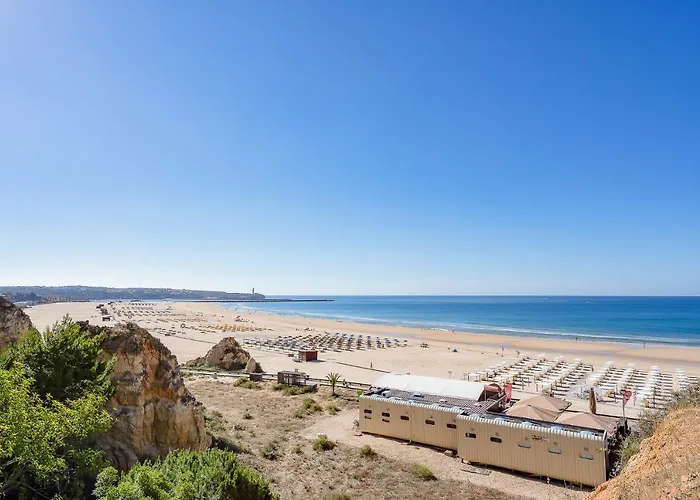 Heritage Caeli * 포티마오